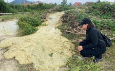 Hiện tượng lạ ở Phú Yên: Lại trào bùn nước sau 46 năm