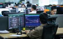 Chứng khoán giằng co, nhiều cổ phiếu xanh mướt