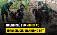 Hành trình cứu nạn động đất Myanmar: Chó nghiệp vụ Việt Nam làm nên kỳ tích