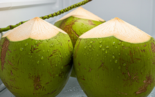 Ngày mới với tin tức sức khỏe: Cách bảo quản nước dừa tốt nhất