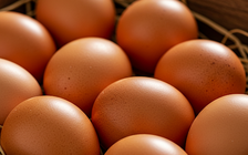 Ngày mới với tin tức sức khỏe: Trứng tốt với gan thế nào?