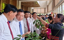 'Cần nhìn lớn, nhìn xa hơn để phát triển ngành công nghiệp dược liệu'