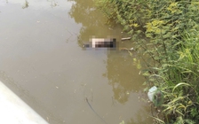 Bình Định: Phát hiện thi thể đang phân hủy bên bờ suối