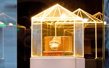 Cung thỉnh xá lợi trái tim Bồ tát Thích Quảng Đức vào tháp Đa Bảo