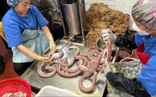 Liên tiếp phát hiện lòng lợn bẩn tại Quảng Ninh