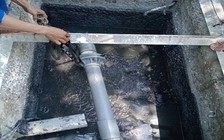 Xác định nhà hàng, khu du lịch xả thải gây hôi thối cục bộ biển Đà Nẵng