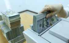 Giá USD hôm nay 14.5.2025: Đô tự do đứng yên bất chấp ngân hàng đi xuống