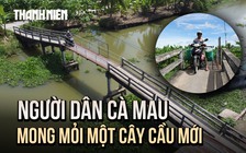 Hàng trăm hộ dân miệt vườn Cà Mau mong mỏi một cây cầu bê tông mới