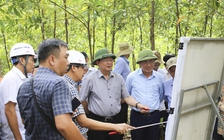 Bình Định: Khảo sát Vũng Chua làm sân golf, khu đô thị nghỉ dưỡng