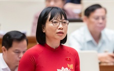 'Hậu kiểm không đủ mạnh, các công ty ma dễ lợi dụng'
