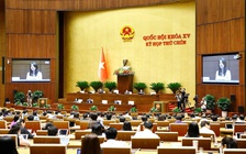 Cơ chế phải đủ mạnh, kinh tế tư nhân mới cất cánh
