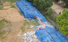 210 tấn xi măng bị hư hỏng do phơi mưa nắng