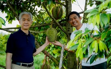 Sầu riêng Campuchia tìm đường cạnh tranh ở Trung Quốc