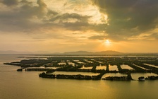 Những tuyệt tác thiên nhiên: Đầm Thị Nại - báu vật của Bình Định