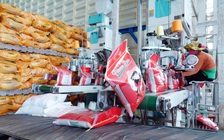 Vượt Thái Lan, gạo Việt sẽ đứng thứ 2 thế giới?