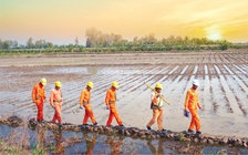 Cuộc thi '50 năm thắp sáng niềm tin': 42 bài viết được vào chung khảo