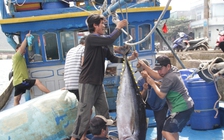 Bộ Tư pháp chỉ ra sai sót, nhiều cán bộ ở Bình Định bị kiểm điểm