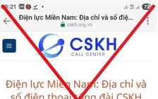 Cảnh báo web giả mạo ngành điện, cước phí tổng đài cao gấp 8 lần