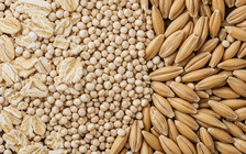 Ngày mới với tin tức sức khỏe: Sau tuổi 30, ưu tiên ăn gì phòng đột quỵ?