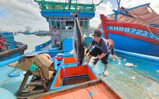 Cần sớm gỡ nút thắt cảng cá: Ngư dân bớt khổ khi cảng được đầu tư bài bản