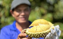 EU đến Việt Nam thanh tra sầu riêng, thanh long, ớt