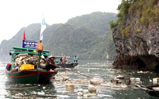 Tàu du lịch vịnh Hạ Long bị dừng hoạt động vì để khách dùng chai nhựa
