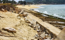 Bình Định: Chấm dứt dự án kè chống xói lở 80 tỉ đồng có nhiều vi phạm