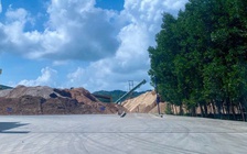 Trưởng ca sản xuất dăm gỗ bị điện giật tử vong