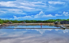 Hè 2025: Đến đảo Thiềng Liềng ở TP.HCM, nơi có ngọn núi thấp nhất Việt Nam, đồng muối trải dài