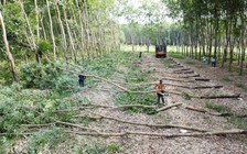 Vì sao chủ đầu tư đánh trượt thầu Tập đoàn Sơn Hải?