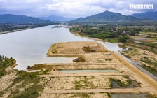 Giá cát leo thang, doanh nghiệp điêu đứng