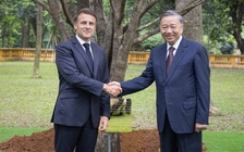 Tổng thống Pháp trồng cây hữu nghị cùng Tổng Bí thư Tô Lâm