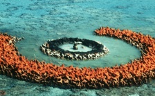 Trung Quốc tiến hành nghiên cứu biển trong vùng đặc quyền kinh tế Nhật Bản?