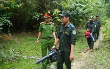 Căng mình giữa nắng nóng phòng cháy rừng, giữ 'lá phổi xanh' Đà Nẵng