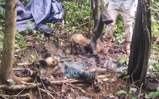 Phát hiện bộ xương người ở Quảng Ngãi, nghi của bị can trốn truy nã