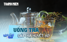 Uống trà giúp hạ huyết áp hiệu quả