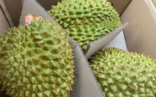 Trung Quốc phối hợp gỡ khó xuất khẩu sầu riêng Việt Nam