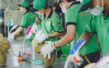 Ưu tiên thông quan ngay cho sầu riêng xuất khẩu