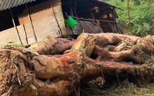 Lũ quét ập về trong đêm, đánh sập nhiều ngôi nhà