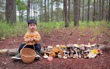 Hè 2025: Vào rừng hái nấm ở Đà Lạt, trẻ em học kỹ năng sống từ thiên nhiên