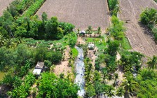 Cả xóm ở miền Tây rủ nhau tát đìa, lội bùn bắt cá đồng