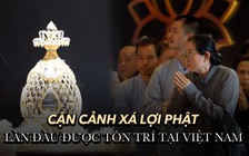Người dân xúc động chiêm bái xá lợi Phật: 'Cảm giác gần Đức Phật hơn'