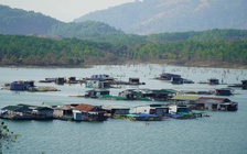 Sau sắp xếp, một xã ở Kon Tum rộng hơn 760 km2