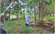 Thái Lan có ca tử vong vì bệnh than đầu tiên trong 30 năm, lo bùng dịch