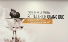 Tạm hoãn chiêm bái xá lợi trái tim Bồ tát Thích Quảng Đức dự kiến ngày 3.5
