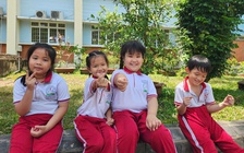 Bao giờ biết kết quả tuyển sinh lớp 1 tại TP.HCM?