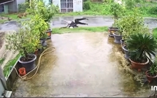 Vướng dây điện trên đường, 2 người đi xe máy bị điện giật tử vong