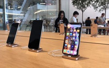 Apple sắp thay đổi lớn về cách ra mắt và phát hành iPhone