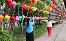 Con đường lồng đèn mới toanh giữa lòng TP.HCM trở thành địa điểm check-in thu hút