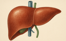 Ăn loại trái cây này khi bụng đói sẽ giúp gan khỏe